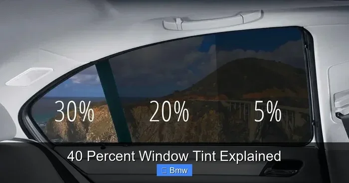 40 Percent Window Tint: Benefits and Drawbacks Explained
