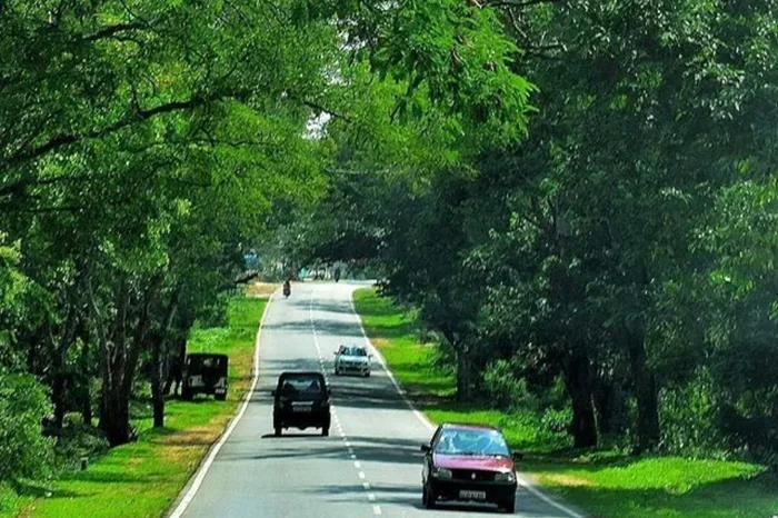1 Day Trip From Bangalore By Car Explore Top Destinations