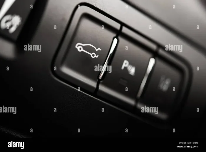 Where Is the Trunk Open Button Found Inside Your Car