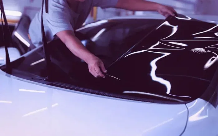 Everything You Need to Know About 50 Percent Window Tint
