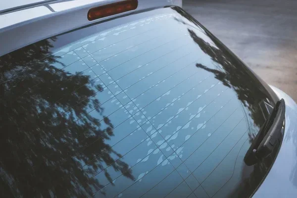 Alabama Window Tint Law Guide Everything You Need to Know