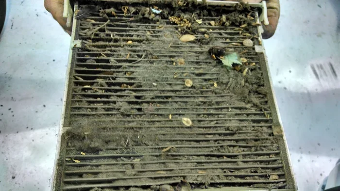How Do I Know If My Cabin Air Filter Needs Replacing