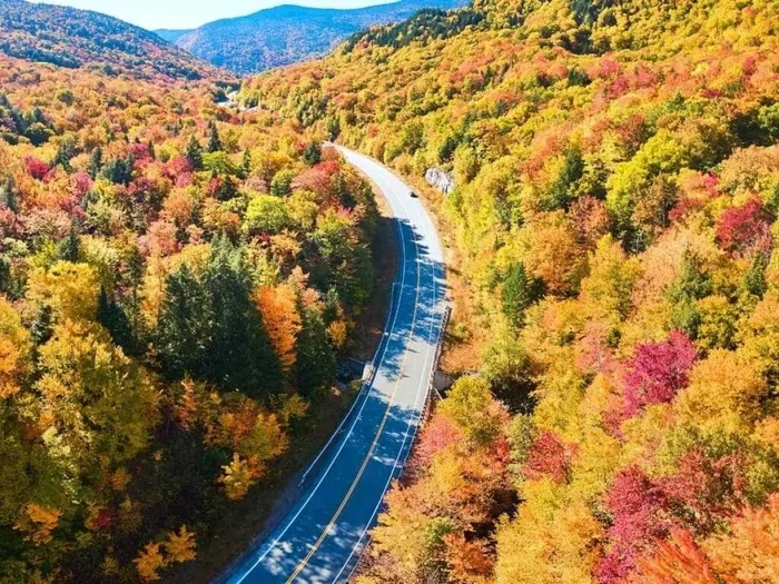 Do You Really Need Car Insurance in New Hampshire