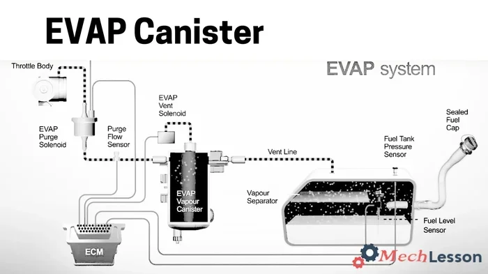 Does EVAP Use Vacuum Here Is What You Really Need to Know